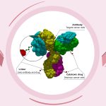 Antibody-Drug-Conjugate-(ADC)-for-Triple-negative-Breast-Cancer-(TNBC)