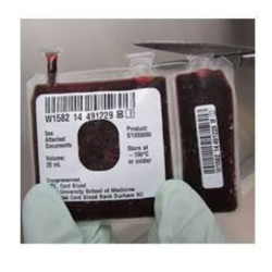 Ducord (HPC, Cord Blood)